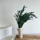 Botte fleurs séchées Eucalyptus Nicoli Vert