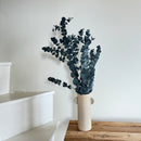 Botte fleurs stabilisées eucalyptus cinerea vert stabilisé