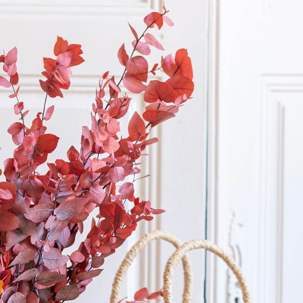 Botte d'eucalyptus stuartiana rouge stabilisé, vue de face - Flowrette