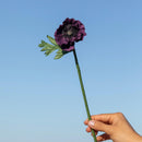 fleur-papier-flowrette-anemone