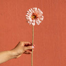 fleur-papier-flowrette-gerbera-corail