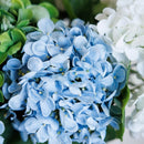 Light blue hydrangea
