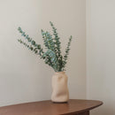 Eucalyptus baby vert