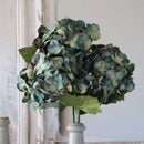hortensia-en-papier