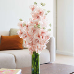 Pink paper butterfly orchid
