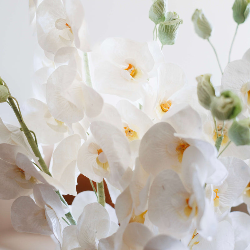 Orchidée papillon blanche en papier, détail des pétales - Flowrette