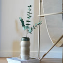 fleurs-en-papier-flowrette-eucalytus-vert-grande-branche