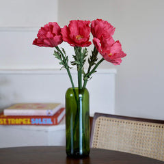 Fuchsia paper poppy