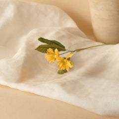 Wild Marguerites in Yellow Paper