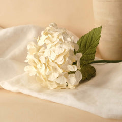 Cream paper hydrangea