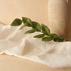 Green paper ruscus