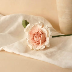 Rose Alice in carta rosa pallido