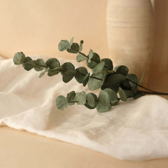 Grande branche d'eucalyptus en papier vert