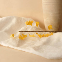 Gingko branch in yellow paper
