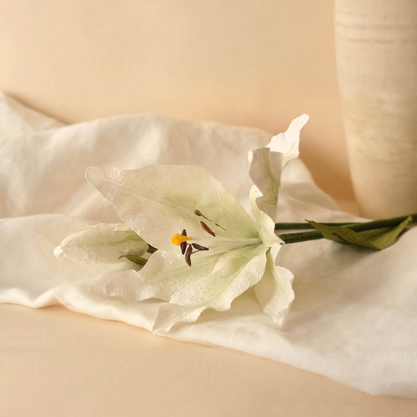 white paper lily Discover our broken white paper lilies