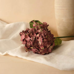 Plum paper hydrangea