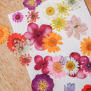 Pochette de fleurs pressées multicolores - Flowrette