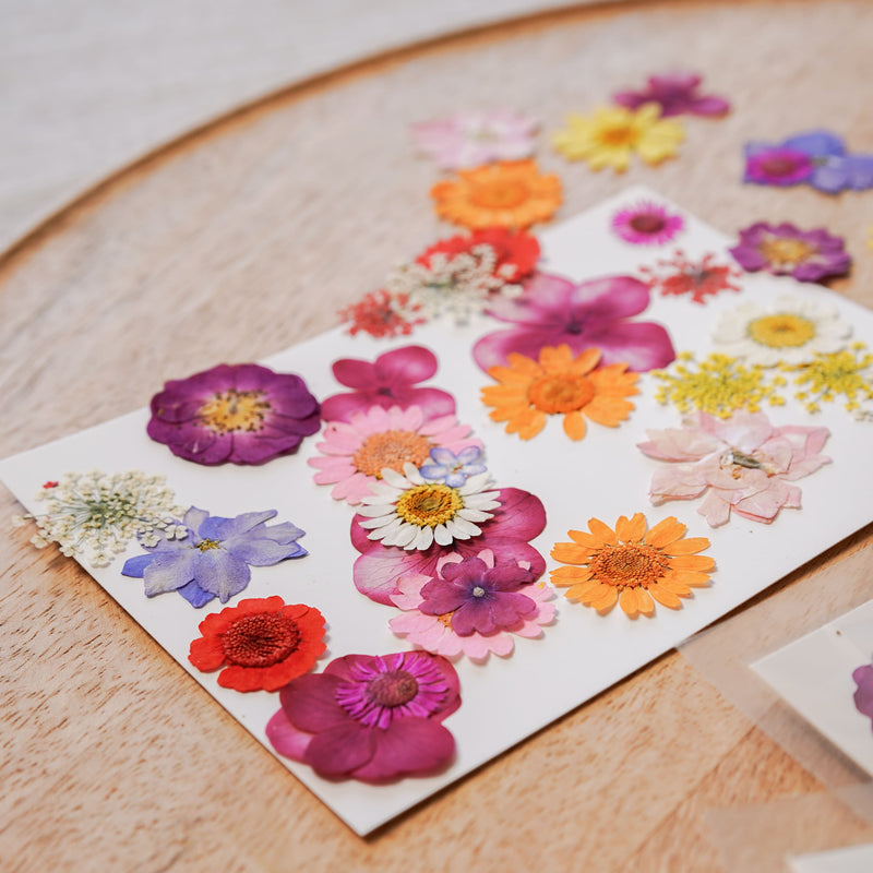 Pochette de fleurs pressées multicolores - Flowrette