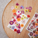 Pochette de fleurs pressées multicolores - Flowrette