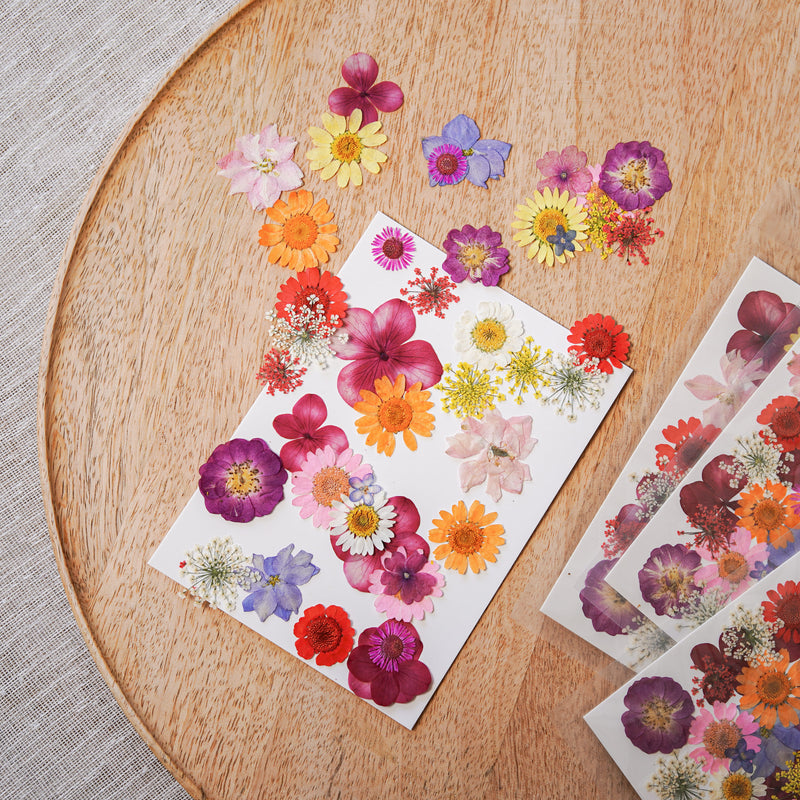 Pochette de fleurs pressées multicolores - Flowrette