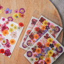 Pochette de fleurs pressées multicolores - Flowrette