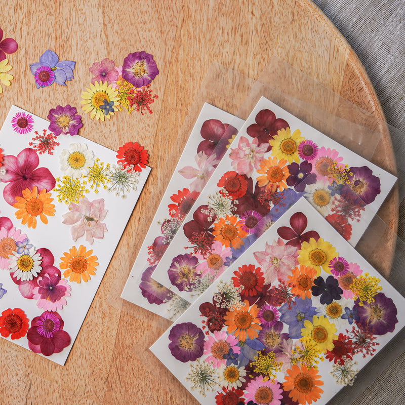 Pochette de fleurs pressées multicolores - Flowrette