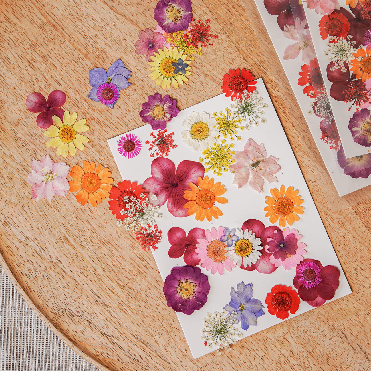 Pochette de fleurs pressées multicolores - Flowrette