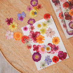 Multicolored pressed flowers pocket