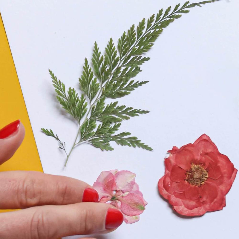 Découvrez les prochains pop-up store | Flowrette