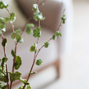 liane-en-papier-vert