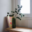 eucalyptus-en-papier-vert