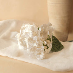 Hortensia en papier blanc