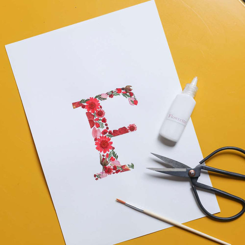 Copertura Photobeam Serigrafato FAAC 63001795 - Ricambio Per Sistemi Di Automazione - Foto 12