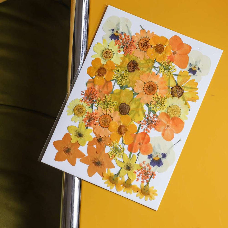 Mini Presse à Fleurs De Poche En Bois 6,5 Cm – Kit Portable Pour Sécher & Conserver Petites Fleurs & Feuilles