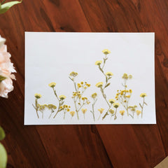 Herbier pétales champêtres A3, vidéo de présentation du grand cadre fleuri - Flowrette
