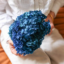 Hortensia Bleu