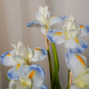Iris artificielle bleue - Flowrette
