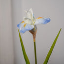 Iris artificielle bleue - Flowrette