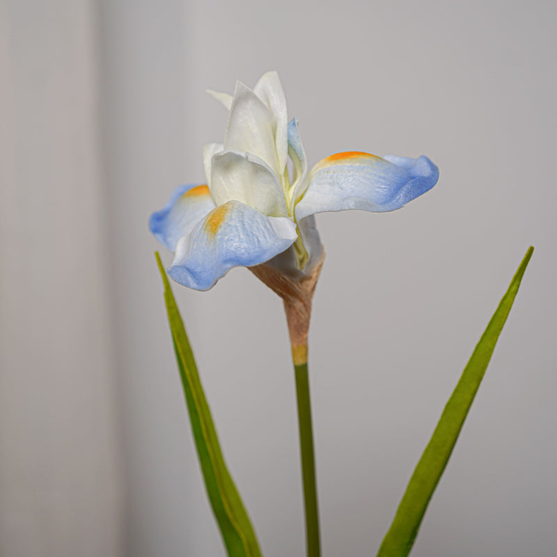 Iris artificielle bleue - Flowrette