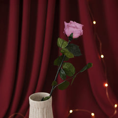 Rosa rosa stabilizzato