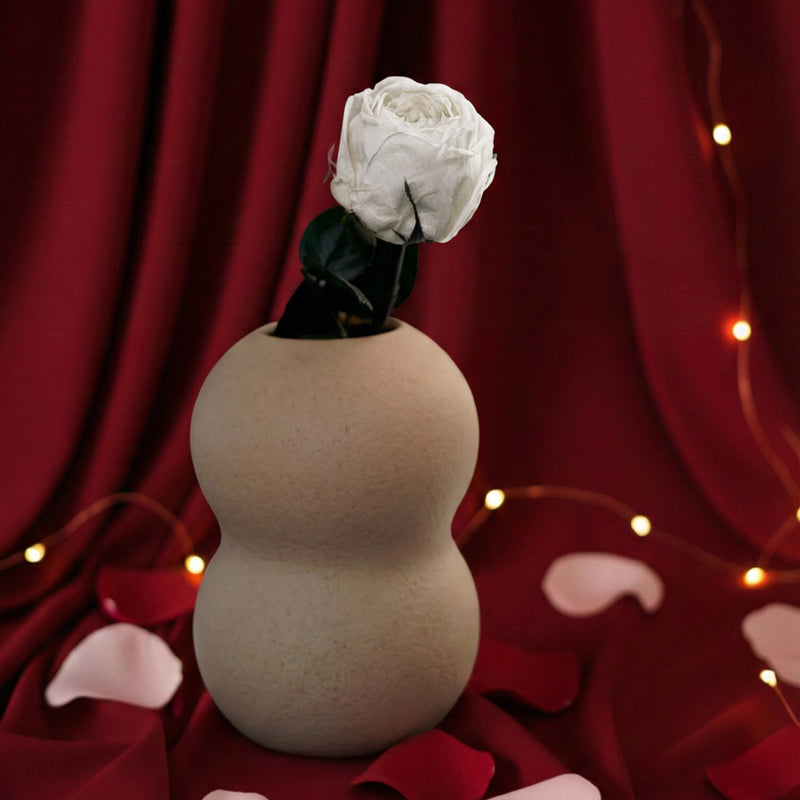 Stabilized white English pink