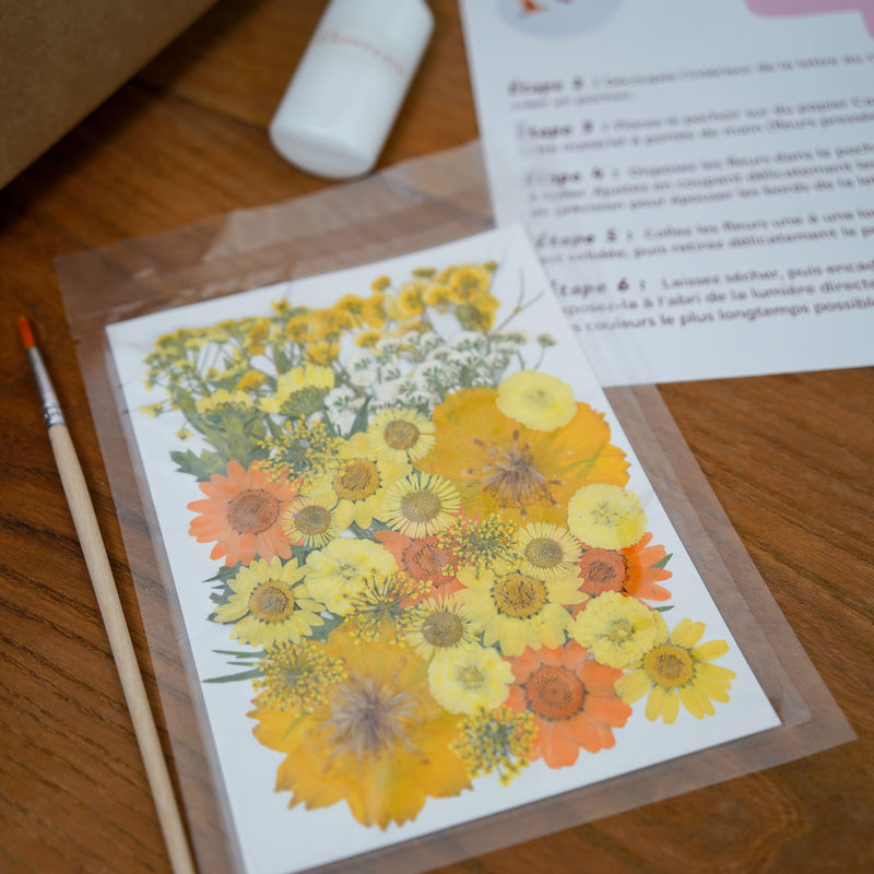 Kit DIY herbier abécédaire jaune, coffret fleurs pressées - Flowrette