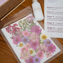 Kit DIY herbier abécédaire rose, fleurs pressées - Flowrette