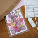 Kit DIY herbier abécédaire rouge, coffret fleurs pressées - Flowrette