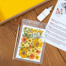 Kit DIY herbier abécédaire jaune, fleurs pressées - Flowrette