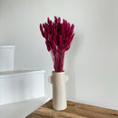 Botte fleurs séchées Lagurus Bordeaux
