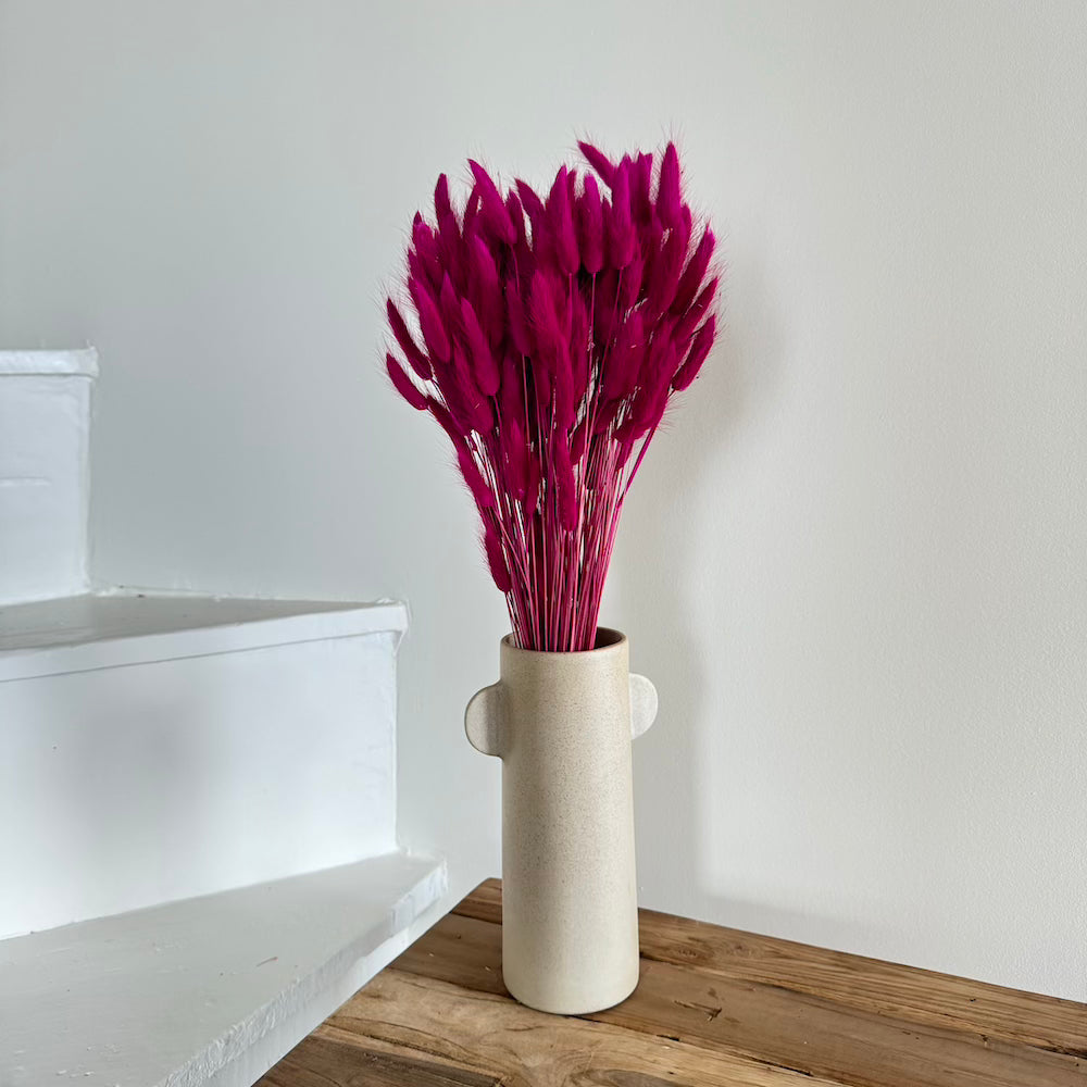 Botte de lagurus séché magenta, vue de face - Flowrette