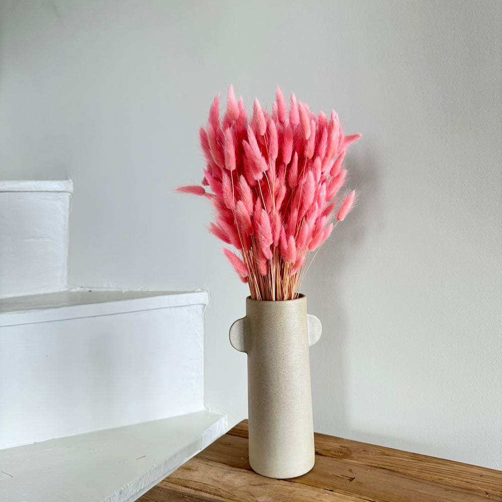Botte de lagurus séché vieux rose, vue de face - Flowrette