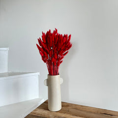 Botte de lagurus séché rouge, vue de face - Flowrette