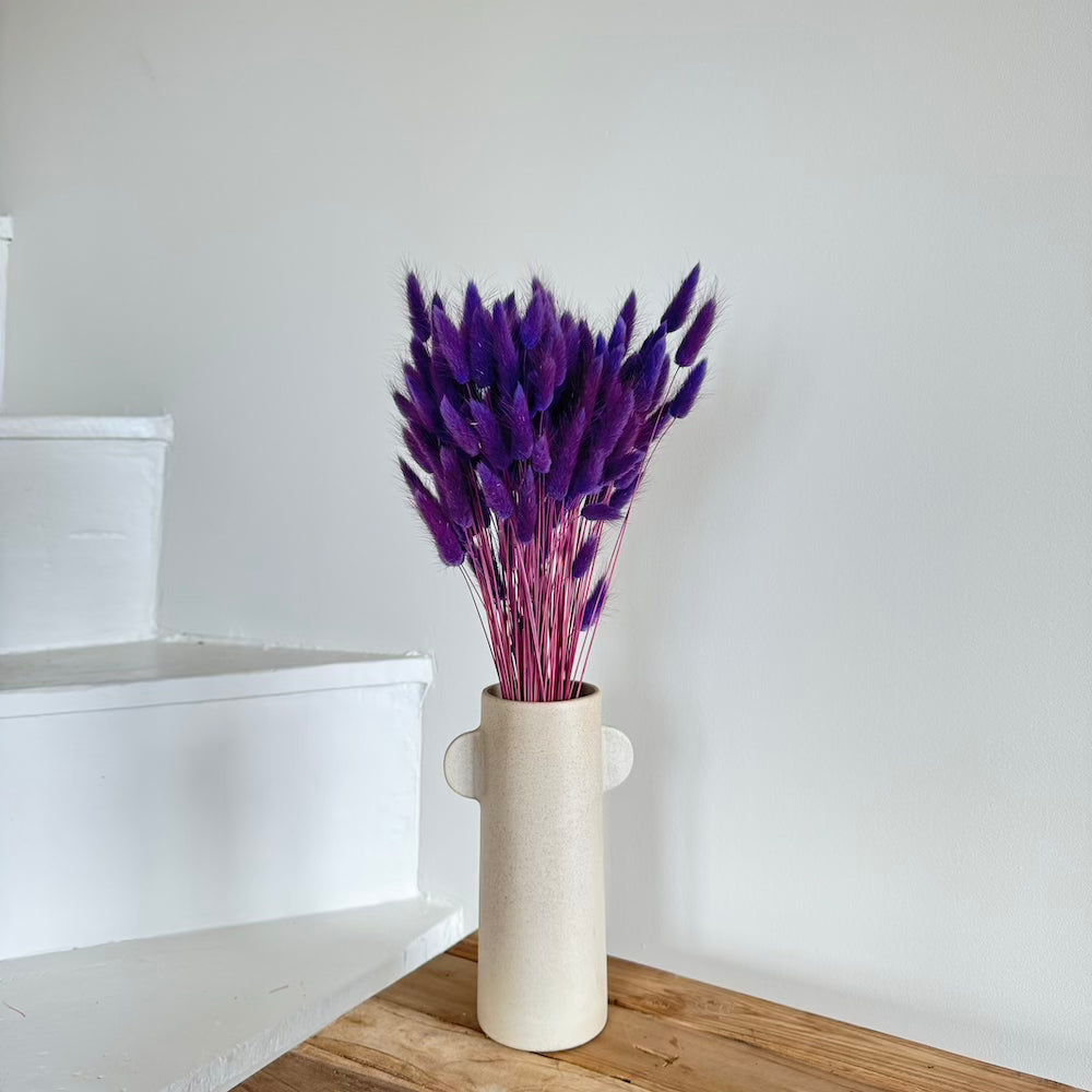 Botte fleurs séchées Lagurus Violet